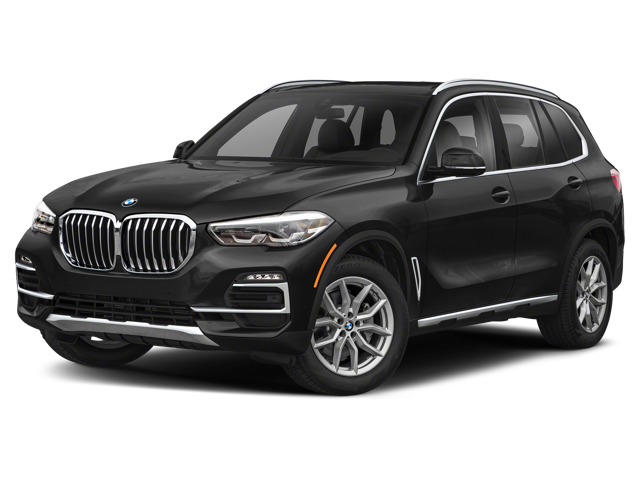 Black 2019 BMW X5 xDrive40i at Ferman BMW in Palm Harbor FL