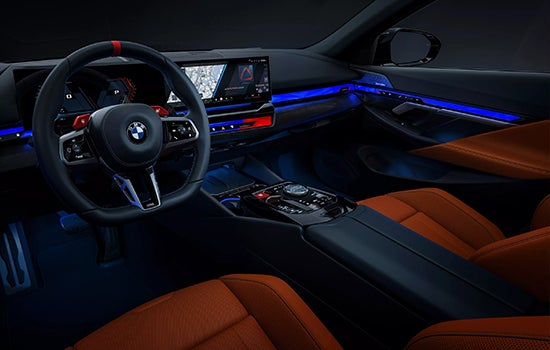 The M interior ambient lighting. | Ferman BMW in Palm Harbor FL