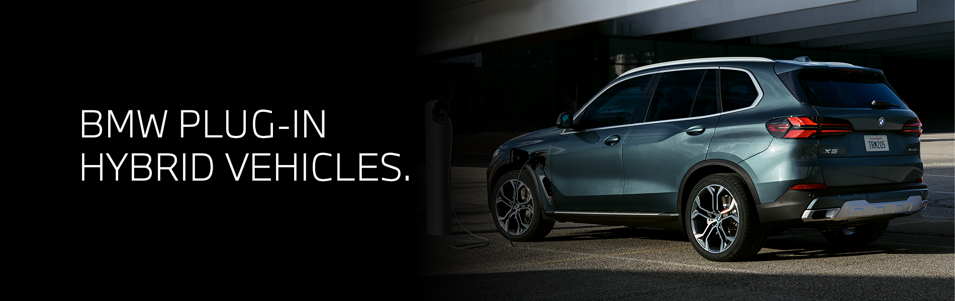 Ferman BMW in Palm Harbor FL