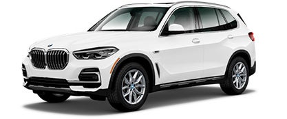 Ferman BMW in Palm Harbor FL