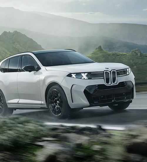 Ferman BMW in Palm Harbor FL